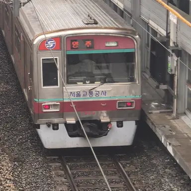 Profile image of S차