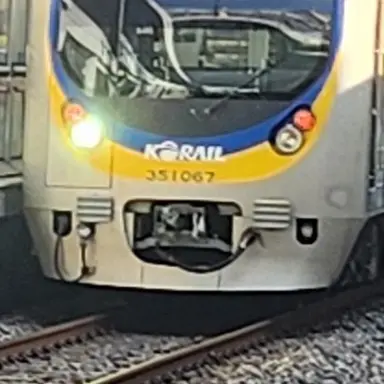 Profile image of 수인분당 뱀눈이