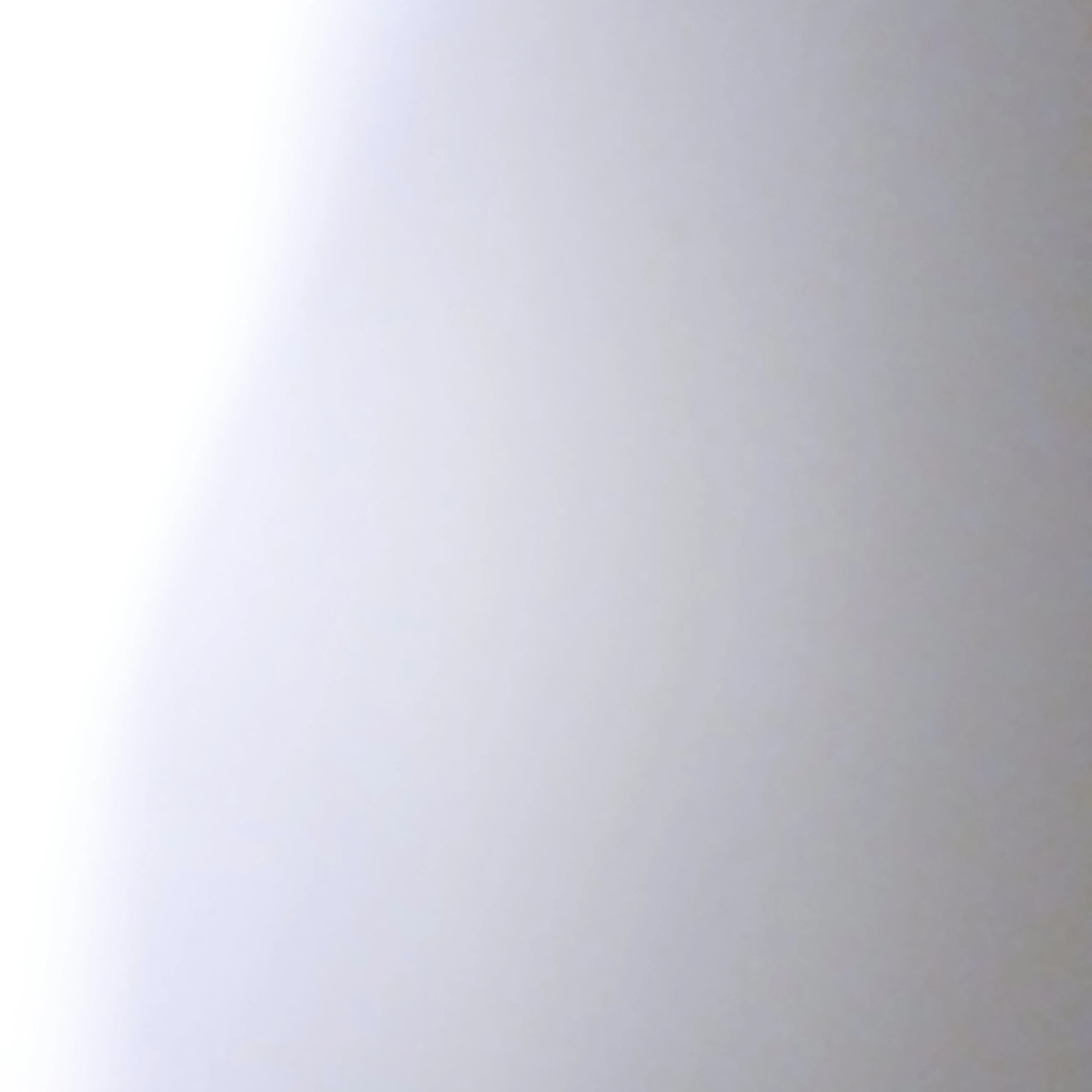 지호