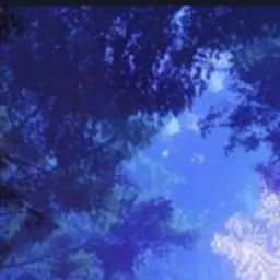 Profile image of Mira