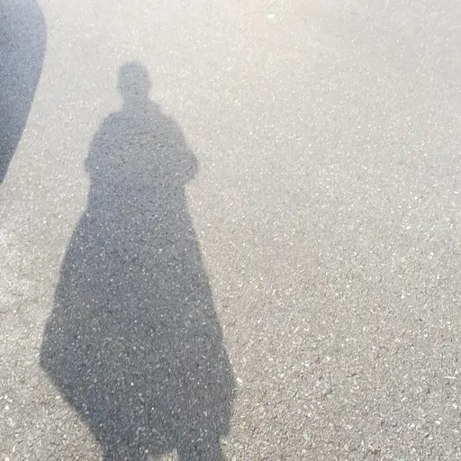 sjvjsv의 고양이로 실험하고 싶은 의사.