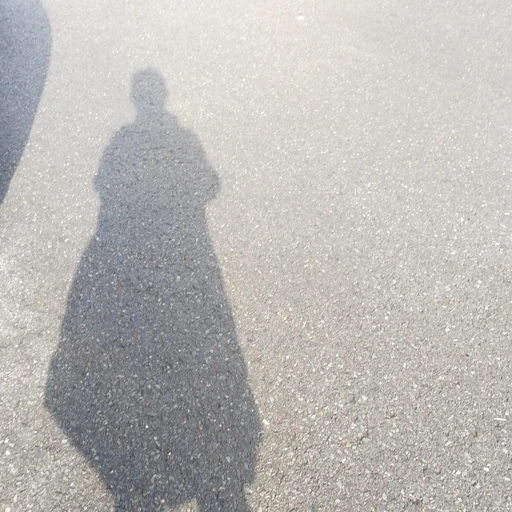 고양이로 실험하고 싶은 의사.