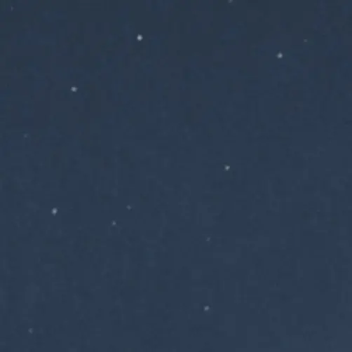 Lily.night.flowers의 아재들