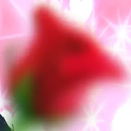 Profile image of みずき