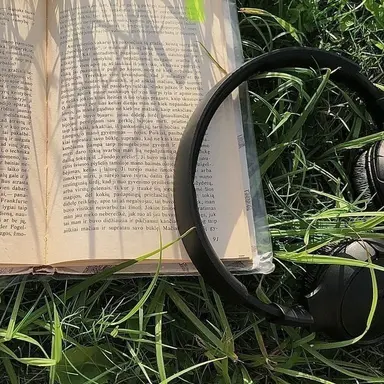 Profile image of 공룡