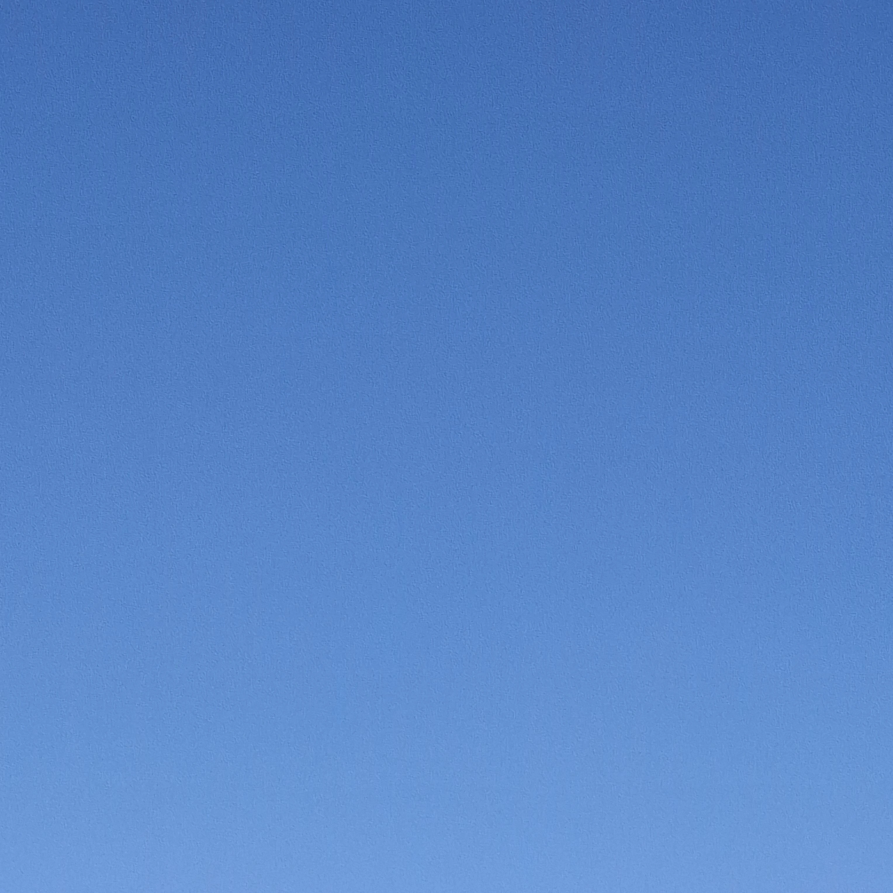 하나코학교