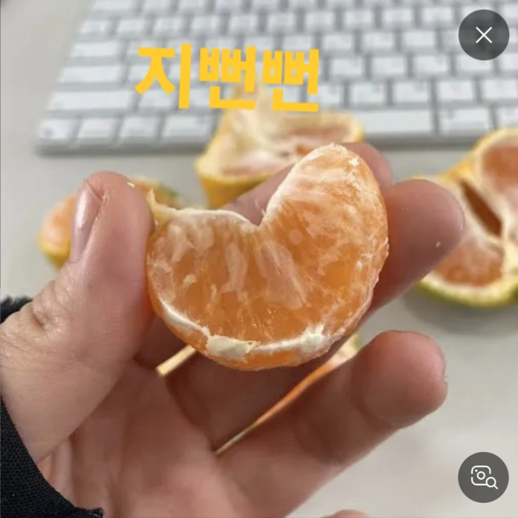 지뻔뻔