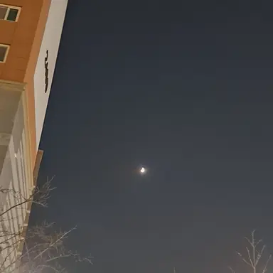 Profile image of 오뉴