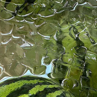 Profile image of 공룡