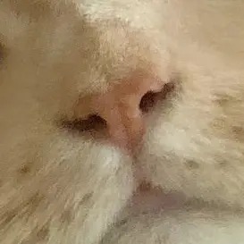 Profile image of 최-연-준