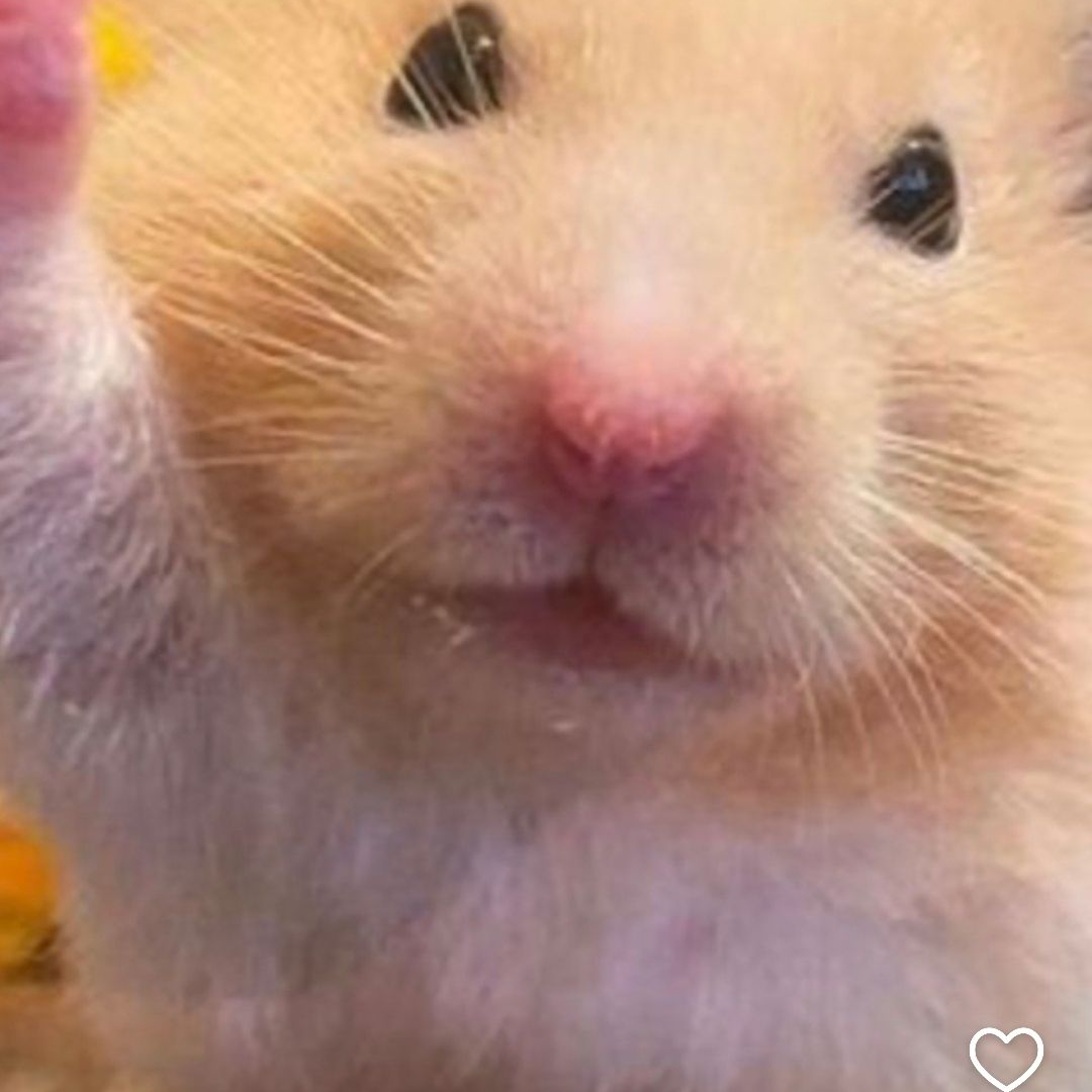 다친 수경사 대표 이미지
