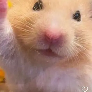 Profile image of 수현_경사