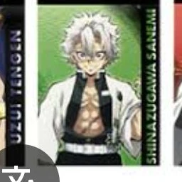 시와즈마 사네미