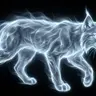 Profile image of Haku