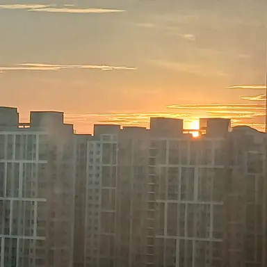 Profile image of 여우