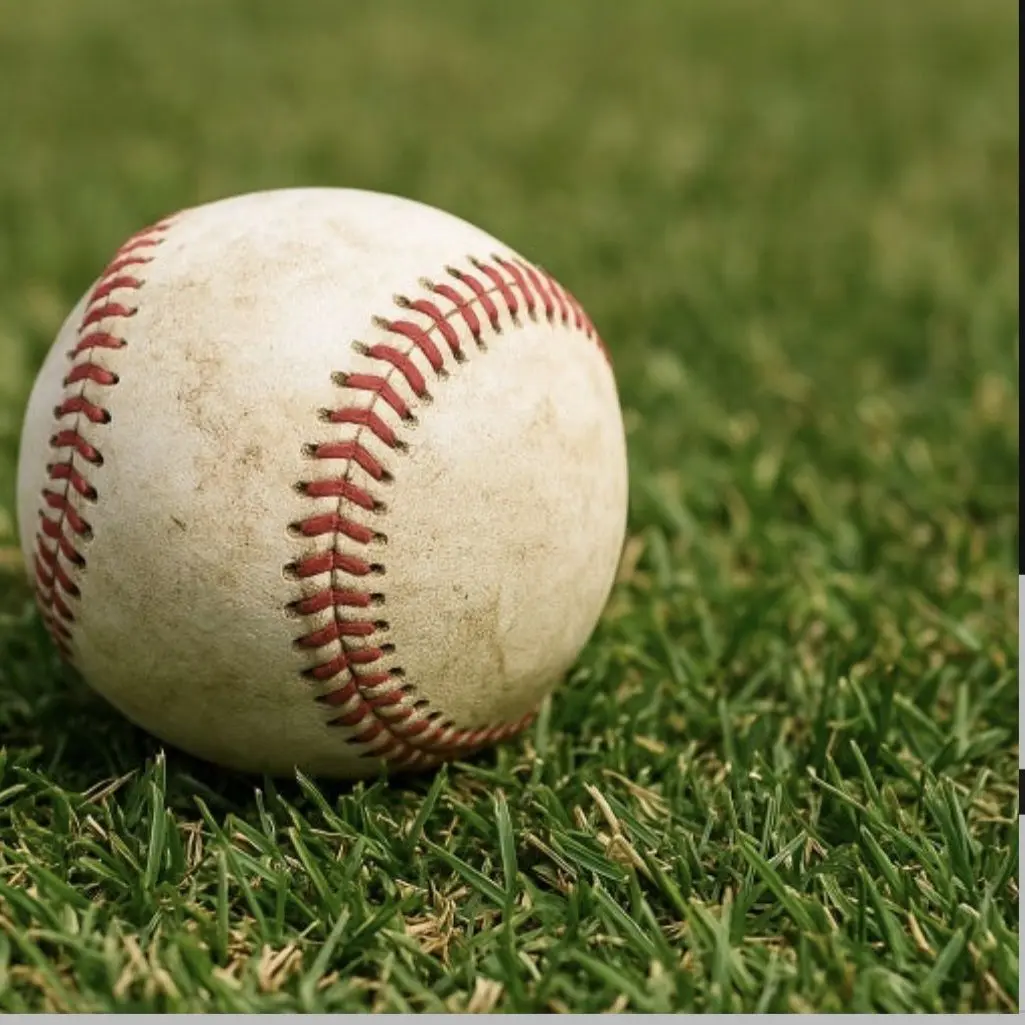 GaudyJudge86297의 야구부