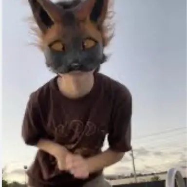 Profile image of Phoenic fox