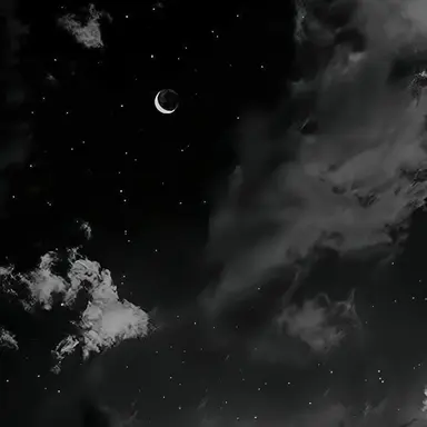 Profile image of 방찬