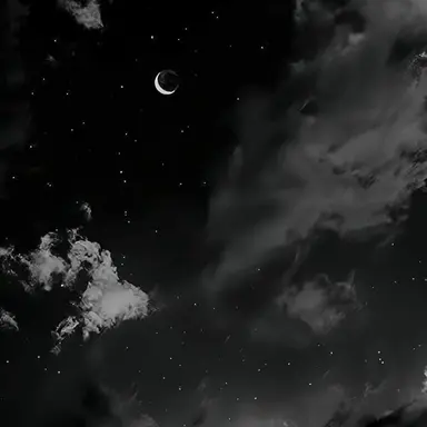 Profile image of 리노