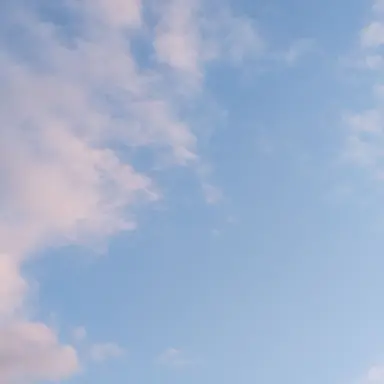 Profile image of 까마귀