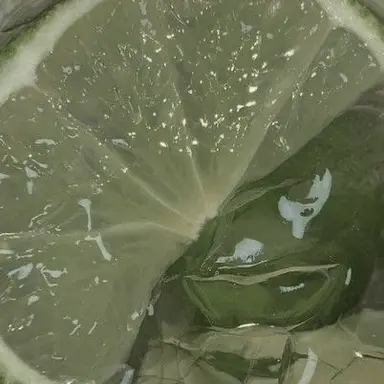 Profile image of 예엥