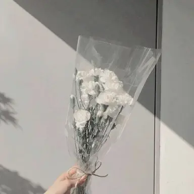 Profile image of 시미베