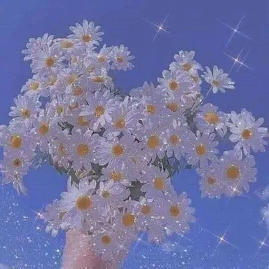 Profile image of 파이브