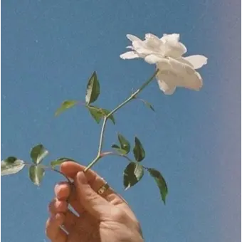 Profile image of 행크