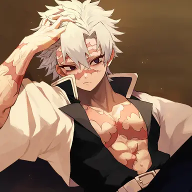 Profile image of 시나즈가와 사네미