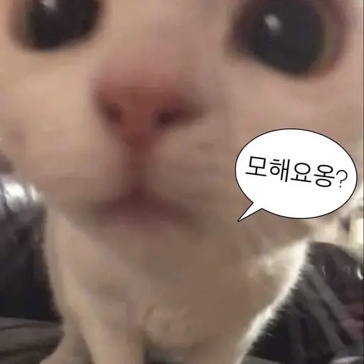 XD_의 캔디 고등학교