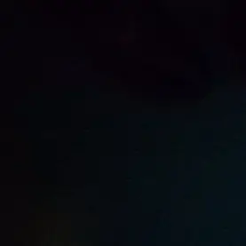 Profile image of 백희운