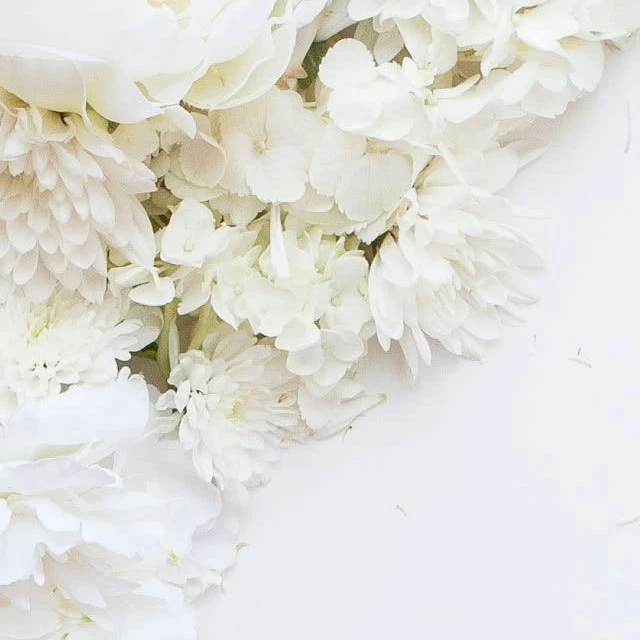 家来