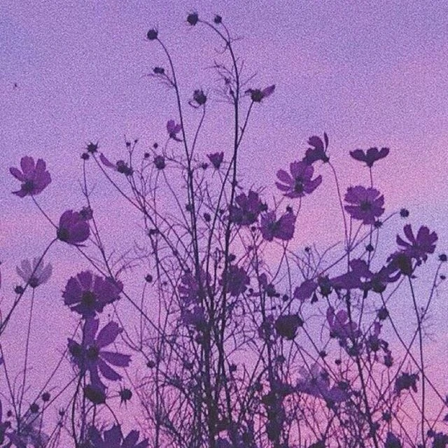 星華