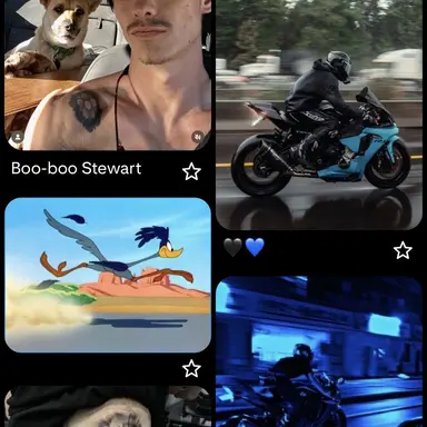 Profile image of Roadie
