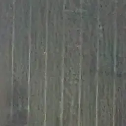 Profile image of 伊沢 拓司