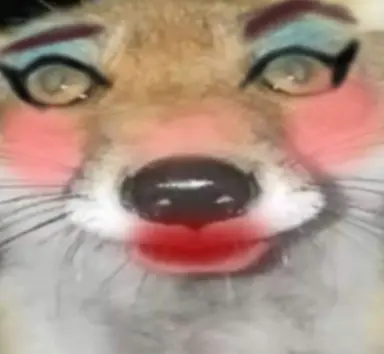 Profile image of 여우
