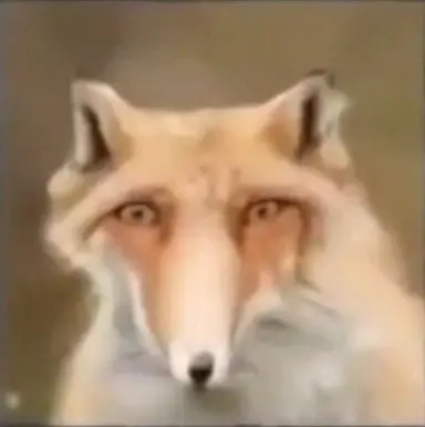 Profile image of 여우