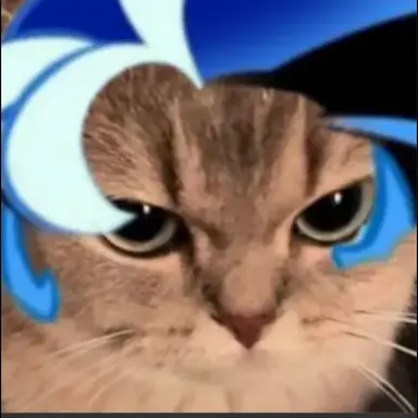 Profile image of 쉐냥이