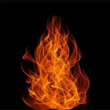 Profile image of 파이어베리 쿠키