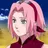 Profile image of Sakura Haruno