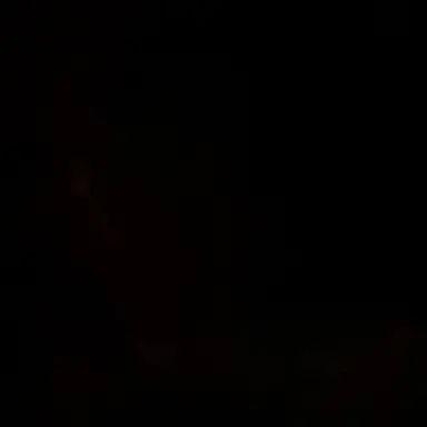 Profile image of 보넥도