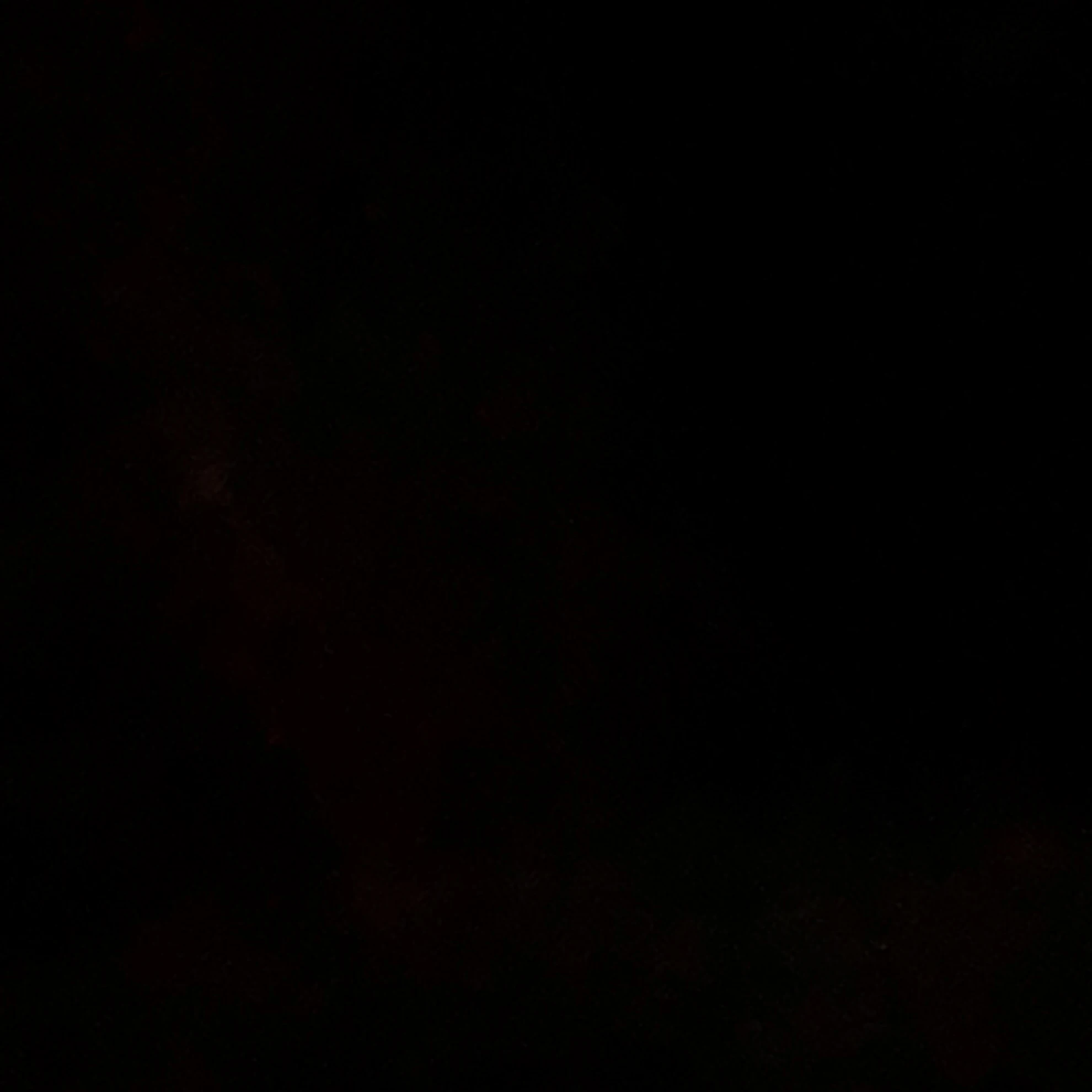 보넥도