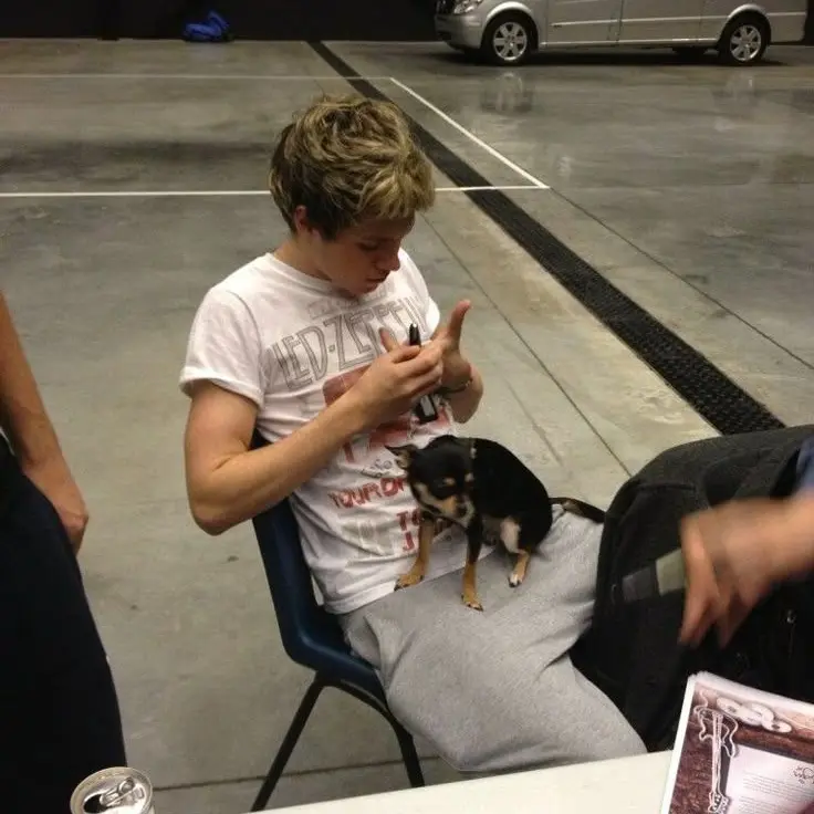 MutedFloss4565의 niall horan