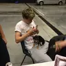 Profile image of niall horan