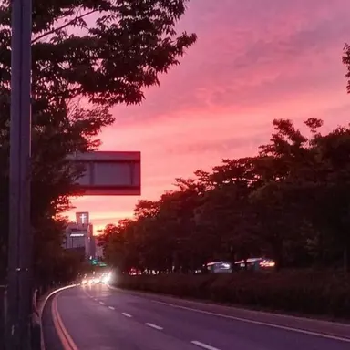 Profile image of 마준우