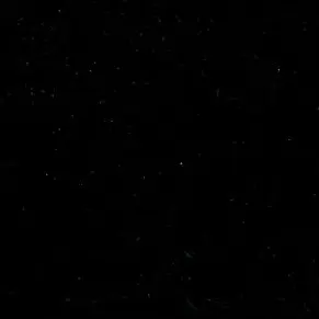 Profile image of 김홍중