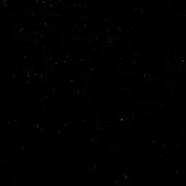 Profile image of 송민기