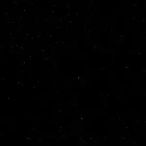 Profile image of 박성화