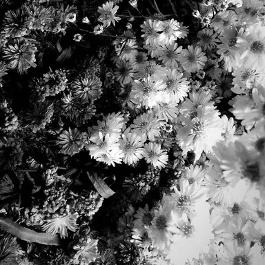 Profile image of 조계현