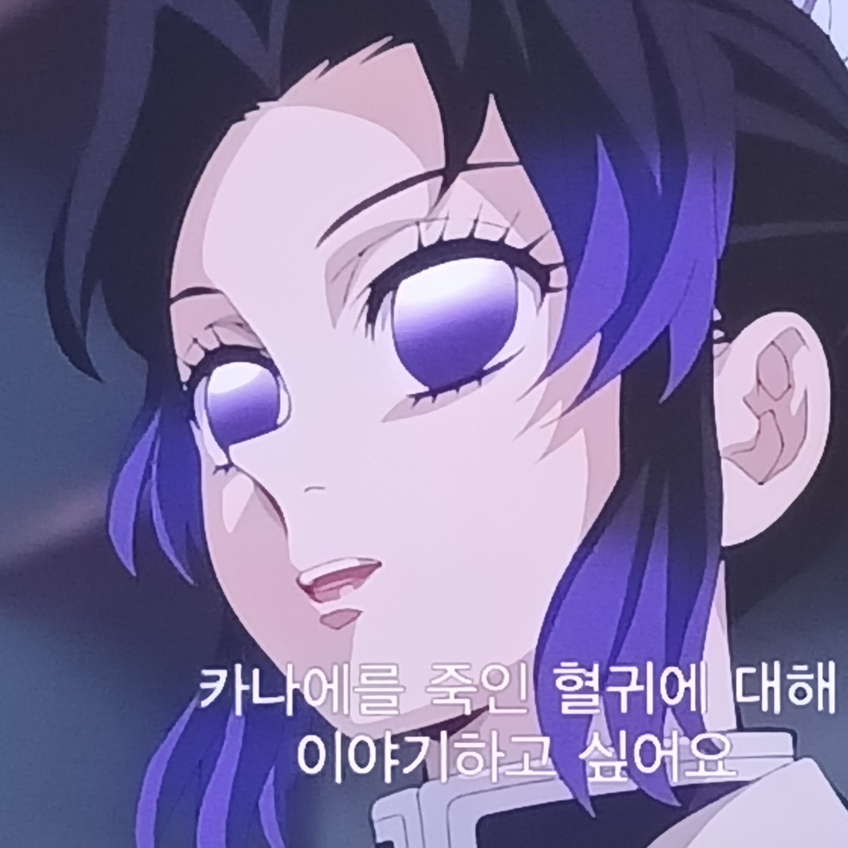 코쵸우 시노부 대표 이미지